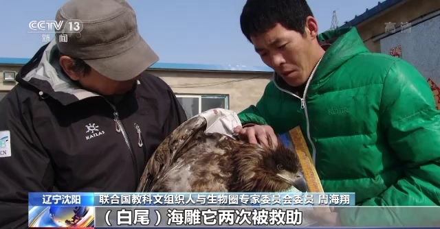 97622��������Ʒ��,����Ұ������׷��,��������׷����,����׷����