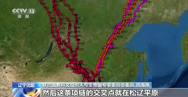 97622��������Ʒ��,����Ұ������׷��,��������׷����,����׷����