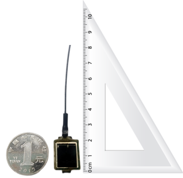 97622��������Ʒ��,����Ұ������׷��,��������׷����,����׷����