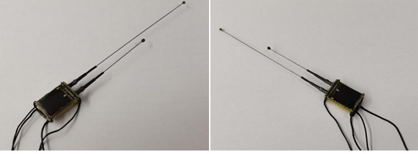 97622��������Ʒ��,����Ұ������׷��,��������׷����,����׷����