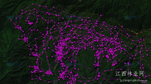 97622��������Ʒ��,����Ұ������׷��,��������׷����,����׷����