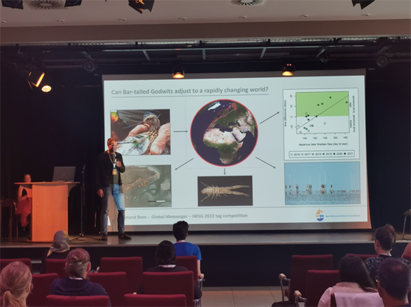 97622��������Ʒ��,����Ұ������׷��,��������׷����,����׷����