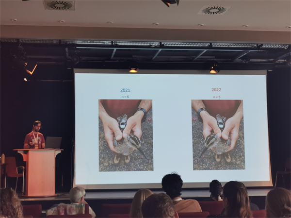 97622��������Ʒ��,����Ұ������׷��,��������׷����,����׷����