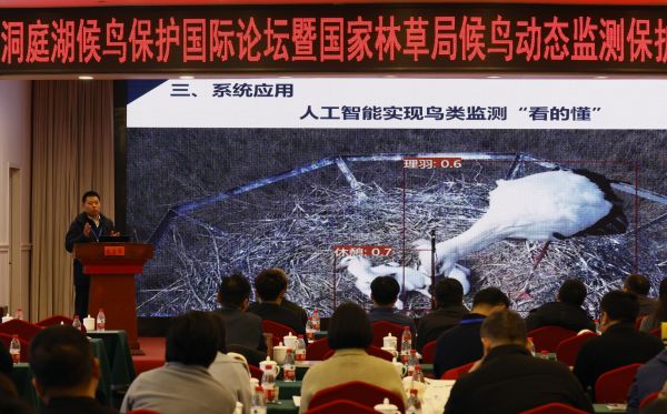 97622��������Ʒ��,����Ұ������׷��,��������׷����,����׷����