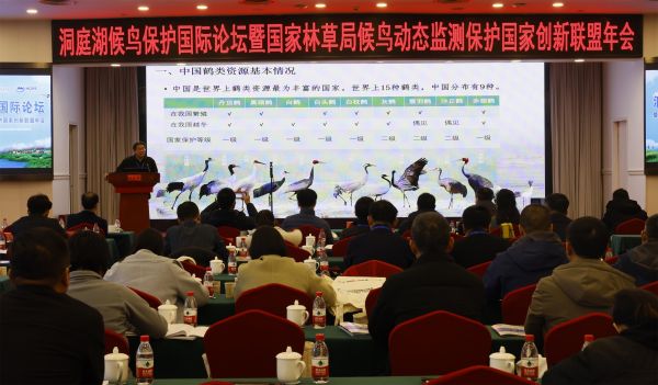 97622��������Ʒ��,����Ұ������׷��,��������׷����,����׷����