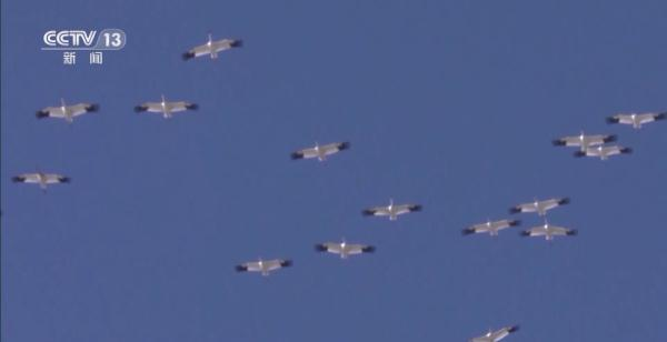 97622��������Ʒ��,����Ұ������׷��,��������׷����,����׷����