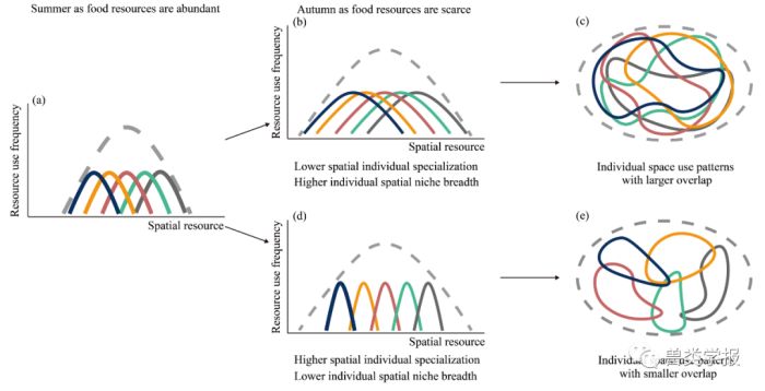 97622��������Ʒ��,����Ұ������׷��,��������׷����,����׷����