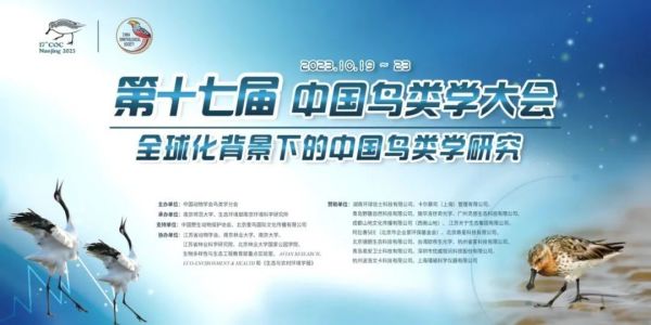 97622��������Ʒ��,����Ұ������׷��,��������׷����,����׷����