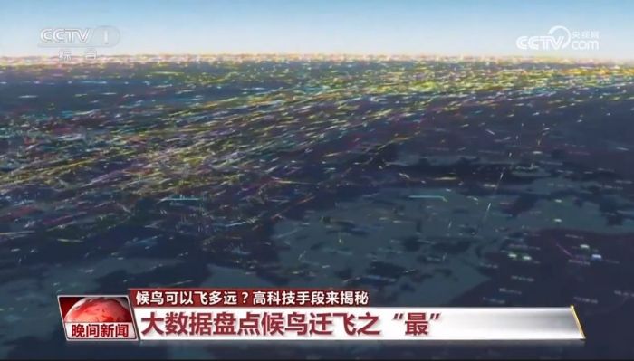 97622��������Ʒ��,����Ұ������׷��,��������׷����,����׷����