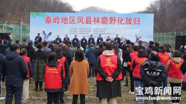 97622��������Ʒ��,����Ұ������׷��,��������׷����,����׷����