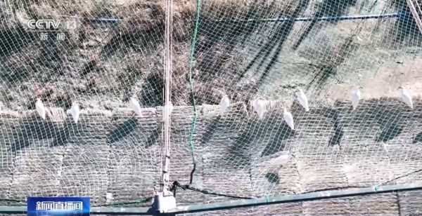 97622��������Ʒ��,����Ұ������׷��,��������׷����,����׷����