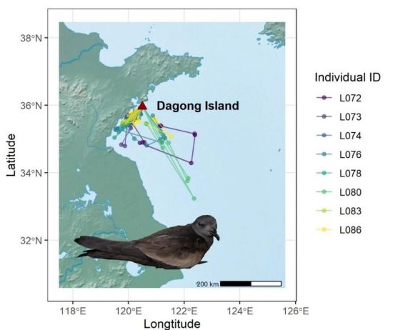 97622��������Ʒ��,����Ұ������׷��,��������׷����,����׷����