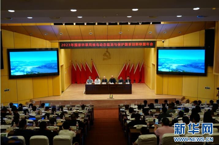 97622��������Ʒ��,����Ұ������׷��,��������׷����,����׷����