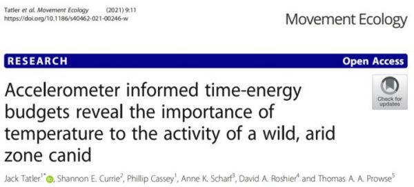 97622��������Ʒ��,����Ұ������׷��,��������׷����,����׷����