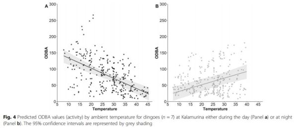 97622��������Ʒ��,����Ұ������׷��,��������׷����,����׷����