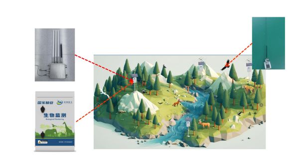 97622��������Ʒ��,����Ұ������׷��,��������׷����,����׷����