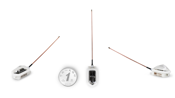 97622��������Ʒ��,����Ұ������׷��,��������׷����,����׷����