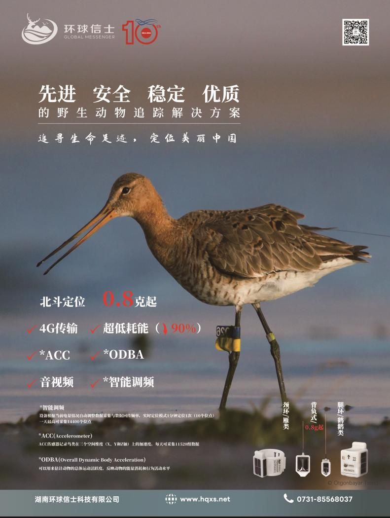 97622��������Ʒ��,����Ұ������׷��,��������׷����,����׷����