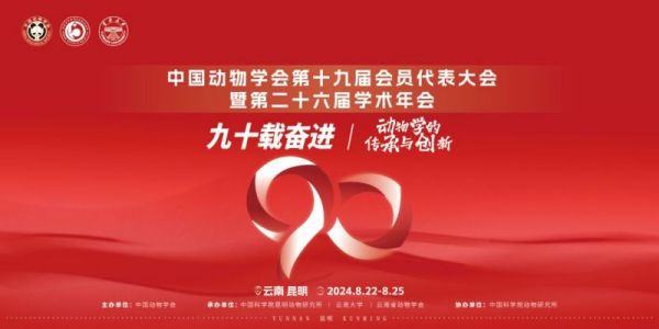 97622��������Ʒ��,����Ұ������׷��,��������׷����,����׷����