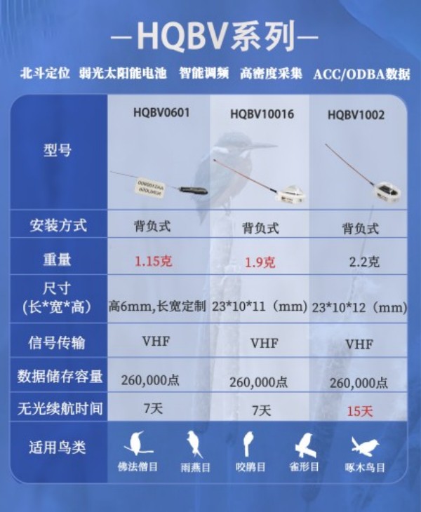 97622��������Ʒ��,����Ұ������׷��,��������׷����,����׷����