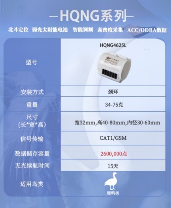 97622��������Ʒ��,����Ұ������׷��,��������׷����,����׷����