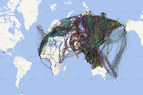 97622��������Ʒ��,����Ұ������׷��,��������׷����,����׷����