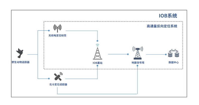 97622��������Ʒ��,����Ұ������׷��,��������׷����,����׷����